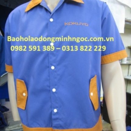 Mẫu BH 08
